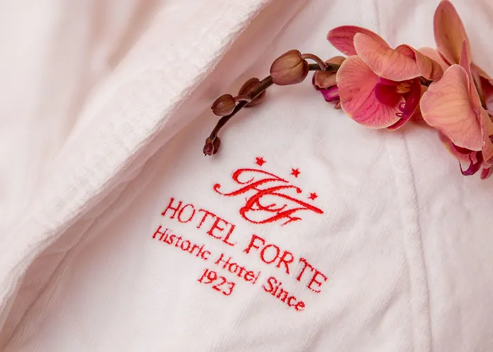 Hotel Forte 3* Roma